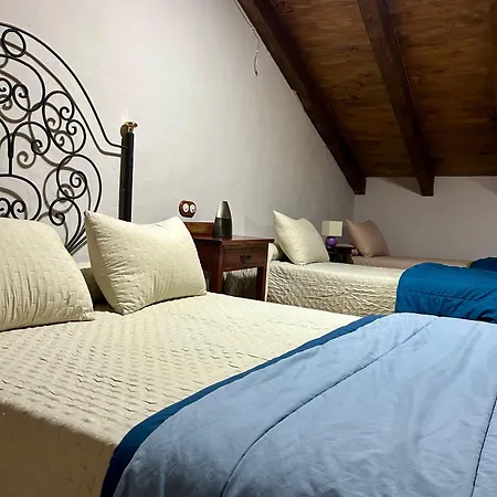 Acebos Del Tajo